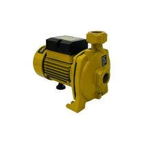 Bomba De Água Centrífuga 5m³/h Mono Bfc 130 0,5hp(cv) Buffalo Bomba De Água Centrífuga 5m³/h Mono Bfc 130 0,5hp(cv) Buffalo