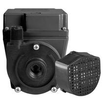 Bomba de água Little Giant 3E-12N-WG 115V 0.07kW 500GPH Bomba de água Little Giant 3E-12N-WG 115V 0.07kW 500GPH