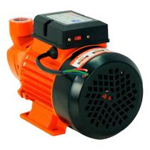 Bomba de Água Periférica Intech Machine bp1000 1hp Bivolt Bomba de Água Periférica Intech Machine bp1000 1hp Bivolt