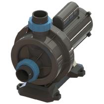 Bomba de Hidromassagem 1,5CV BHGW-150 Mono FILTER