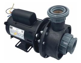 Bomba De Piscina Igui G4 1/2cv Motor Weg 110/220v - Original