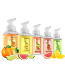 Bomba de sabão espumante para mãos, pacote com 5 unidades, hidratante com aloe vera e óleos Bomba de sabão espumante para mãos, pacote com 5 unidades, hidratante com aloe vera e óleos