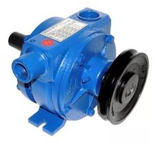 Bomba De Vacuo 300 Litros Triunfo (2 Pes) Bvt 1 Para Ordenhadeira Bomba De Vacuo 300 Litros Triunfo (2 Pes) Bvt 1 Para Ordenhadeira