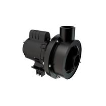 Bomba Hidromassagem CHS-17 1,0 Cv - 127/220V - Dancor