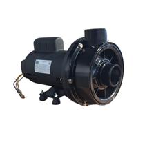 Bomba Hidromassagem Chs-22 2Cv Monofásico 60mm 220v Dancor