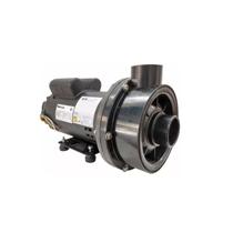 Bomba Hidromassagem Dancor CHS-22 3CV 110/220V Monofásica Motor WEG - Até 12 Bicos