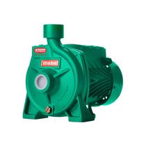 Bomba Monoestágio B-10 1/2 Cv Monofásico Motor Thebe IP44 127/220V Verde Ebara Bomba Monoestágio B-10 1/2 Cv Monofásico Motor Thebe IP44 127/220V Verde Ebara