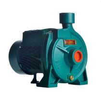 Bomba Monoestágio B-10 1/3 Cv Monofásico Motor Thebe IP44 127/220V