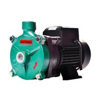 Bomba Monoestágio B-12 1/4 Cv Rotor 94mm Monofásico Motor Thebe IP55 127/220-254V Ebara