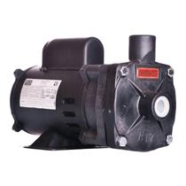 Bomba Monoestágio B-12 P 1/3 Cv Rotor 104mm Monofásico Motor Weg IP21 127/220-254V Ebara