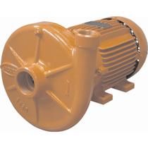 Bomba monoestagio jacuzzi 1dh1.1/2 1cv trifasica 220/380v Bomba monoestagio jacuzzi 1dh1.1/2 1cv trifasica 220/380v