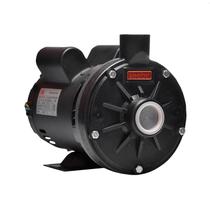 Bomba Monoestágio Th-16 P 1,5 Cv Rotor 136mm Monofásico Motor Thebe Ip23 127/220-254v