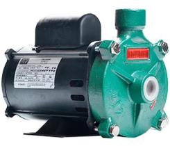 Bomba Monoestágio Thebe B-12 Nr 1/4 Cv 110/220v