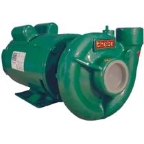 Bomba monoestagio thebe thb-13 1 cv trifasico 220v/380v Bomba monoestagio thebe thb-13 1 cv trifasico 220v/380v