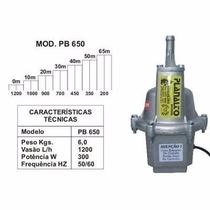 Bomba para água Planalto PB650 220V