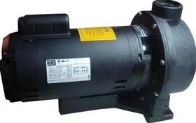 Bomba Para Hidro 3tq-m Monofasica 3cv 110v/220v - Jacuzzi Bomba Para Hidro 3tq-m Monofasica 3cv 110v/220v - Jacuzzi