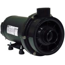 Bomba para hidromassagem dancor chs-17 1/2 cv monofasico 127v/220v