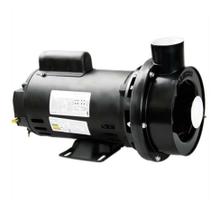 Bomba Para Hidromassagem Dancor Chs-17 2Cv Trifásica