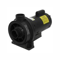 Bomba Para Hidromassagem Jacuzzi 2.0Cv 2Tq-M