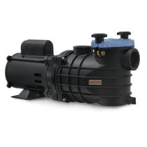 Bomba Para Piscina Schneider EKO 1cv Monofásico 127 220254v