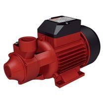 Bomba perfiférica bpl35-1/2 cv