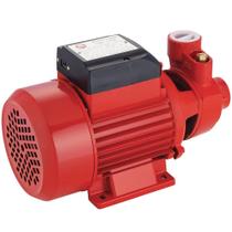 Bomba Periférica 1/2HP 10Bar 1" Bivolt Worker Bomba Periférica 1/2HP 10Bar 1" Bivolt Worker