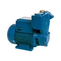 Bomba Periférica Autoaspirante EKSM350A 0,5HP - Aquastrong