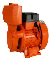 Bomba Periférica Autoaspirante Foxlux 0,5Cv 4500LH com Recalque 32M, Rotor Periférico e Carcaça Reforçada para Água Limpa em Residências e Irrigação Bomba Periférica Autoaspirante Foxlux 0,5Cv 4500LH com Recalque 32M, Rotor Periférico e Carcaça Reforçada para Água Limpa em Residências e Irrigação