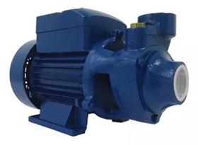 Bomba periferica bp60 0,5 hp mon 220v lepono