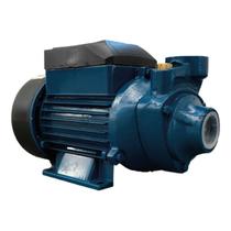 Bomba Periférica BP60 0,5 HP Mono 220V PDR Lepono