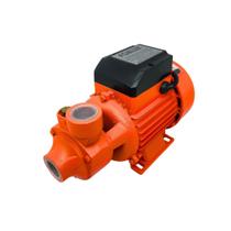 Bomba Periférica Foxlux 1CV Bivolt com 50mca de Altura Manométrica e Vazão 3000Lh para Água Limpa