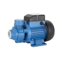 Bomba Periférica Monofásica Schneider 0,75CV 220V