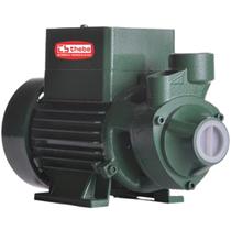 Bomba periferica solar thebe ecaros tp ci 272 272w 44v Bomba periferica solar thebe ecaros tp ci 272 272w 44v