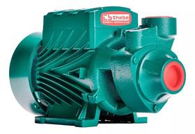 Bomba Periférica Thebe TP-60 1/2CV 127/220V Monofásica