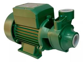 Bomba Periférica Thebe Tp 60 Jr 0,5cv Monofásico 110V