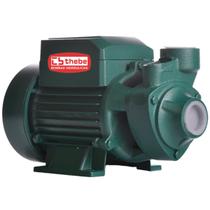 Bomba Periférica Thebe Tp60 Junior 1/2 Cv Monofásica 110v