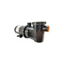 Bomba Piscina Dancor PF-17 1CV 220/380V Trifásica IR3 Motor WEG - Até 88.000L