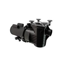 Bomba Piscina Dancor PF-22 2CV 110/220V Monofásica Motor WEG - Até 147.000L