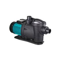 Bomba Piscina Pré Filtro 1/3 CV Monofásica - 220V - Lepono