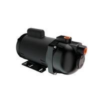 Bomba Pratika AP-3C 2CV Dancor Bivolt Bomba Pratika AP-3C 2CV Dancor Bivolt