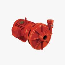 Bomba Schneider Para Incêndio BPI22 R 2 1 2 15cv Trifásico 4 Voltagens Bomba Schneider Para Incêndio BPI22 R 2 1 2 15cv Trifásico 4 Voltagens