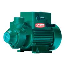 Bomba Solar TP Ci 540W 72v, Vazão Maxima de 2.300 Litros por Hora Bomba Solar TP Ci 540W 72v, Vazão Maxima de 2.300 Litros por Hora