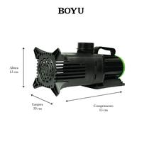 Bomba Sub Boyu Alta Vazao Eco C/reg. Jn4p-15000l 127v