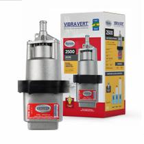 Bomba Submersa Vibratória Para Poço Tipo Sapo Rymer 2500 220V