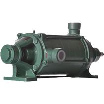 Bomba Thebe P11/6 Nr 3 Cv Mancal