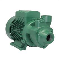 Bomba Thebe TP80 1cv mono 127/220 V