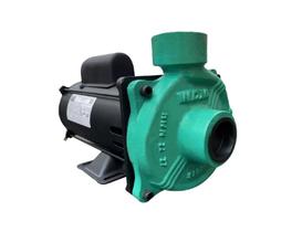 Bomba WDM Monoestágio CE 1 0,33cv Monofásico 127/220/254v