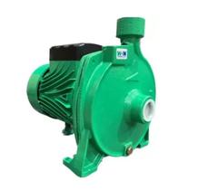 Bomba WDM Monoestágio RE 1 1cv Monofásico 127/220v