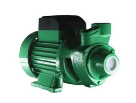 Bomba WDM Periférica BE60 0,5cv Monofásico 127/220v