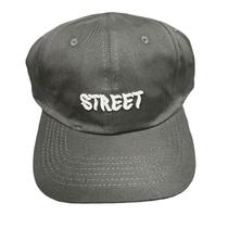 Boné Camurça Masculino Feminino Aba Reta Five Panel Ursa LTX Sleep